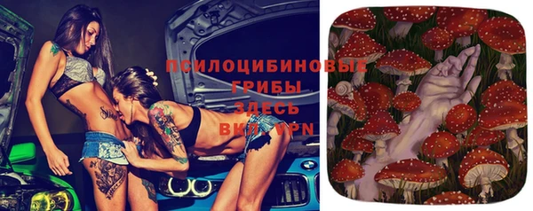 СК Беломорск