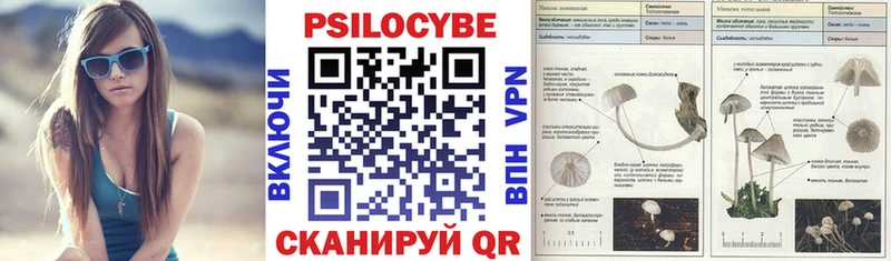 Галлюциногенные грибы GOLDEN TEACHER Энем