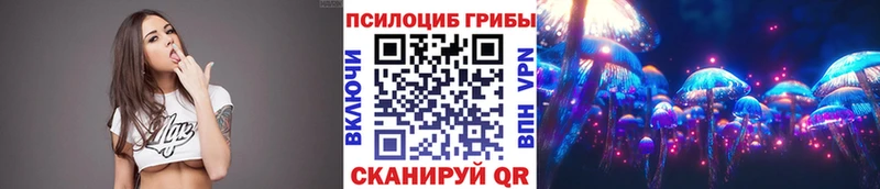 что такое   Энем  Галлюциногенные грибы Psilocybe 